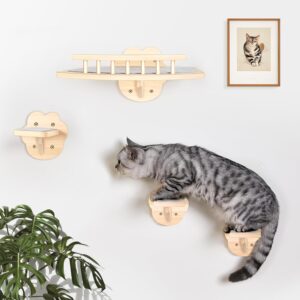 Rocodoco Cat Wall Shelves with 3 Steps and Hammock Cats Wall Furniture for Medium/Small Cats for Climbing Shelf Play Area.