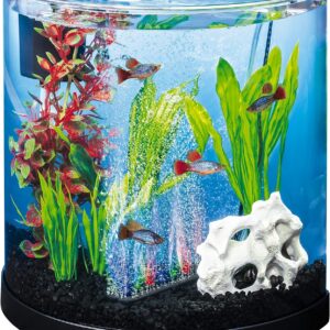 Tetra ColorFusion Starter aquarium Kit 3 Gallons, Half-Moon Shape, With Bubbler And Color-Changing Light Disc