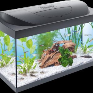 Tetra Starter Line LED 54L Aquarium