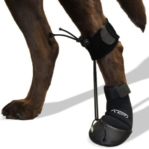 Toe'sUP WAlkaboot No Knuckle Boot/Prevent dragging Paws Ideal for Pets with Neurological Disorders Causing Front paw knuckling and dragging. (Medium 2-2.5" paw Width)