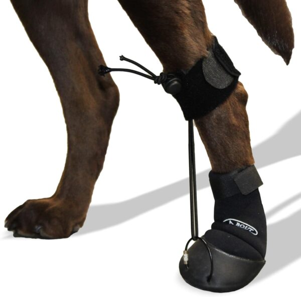 Toe'sUP WAlkaboot No Knuckle Boot/Prevent dragging Paws Ideal for Pets with Neurological Disorders Causing Front paw knuckling and dragging. (Medium 2-2.5" paw Width)