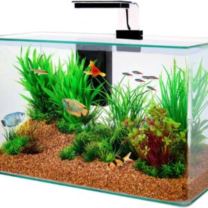 Zolux Aqua Clear 50 Aquarium Kit