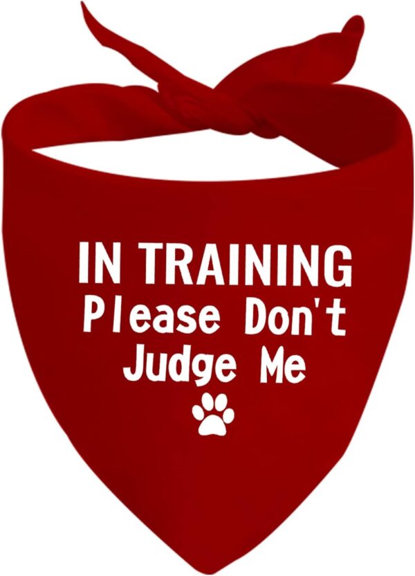 1 Piece In Training Dog Bandana Ask To Pet Dog Bandana Give Me Space Dog Bandana Rescue Dog Bandana (RED Don't Judge Me)