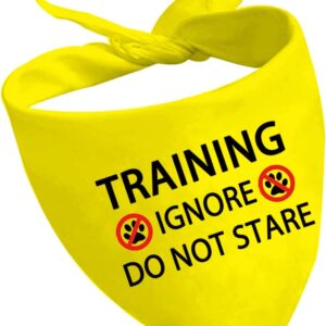 1 Piece Training Ignore Do Not Stare Dog Bandana Dot Not Pet Working Dog Bandana Service Dog Gift (Do Not Stare D2)