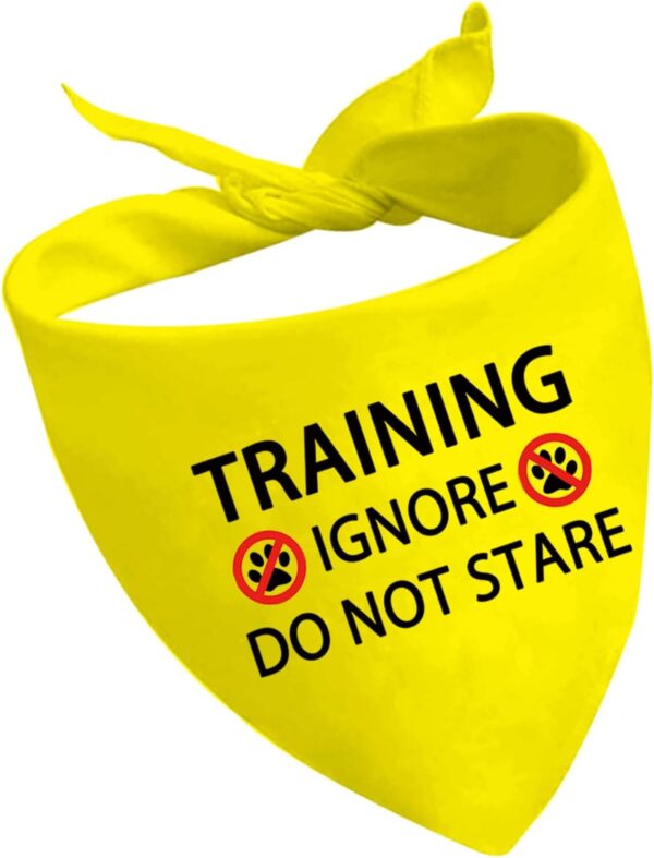 1 Piece Training Ignore Do Not Stare Dog Bandana Dot Not Pet Working Dog Bandana Service Dog Gift (Do Not Stare D2)