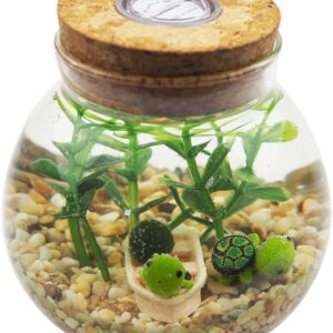 OMEM LED Aquarium Set Moss Ball, Seaweed, Gravel, Tortoise, Boat Micro Landscape Ecological Bottle Glass Wishing Bottle Table Decoration Unique Birthday Gift