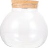 BESPORTBLE Landscape Bottle Air Plant Vase Fish Tank Decor Succulent Plant Pot Artificial Aquarium Small Clear Simple Plant Terrarium Fish Bowl Kit Turtle Tank Accessories Jar LED White Wood