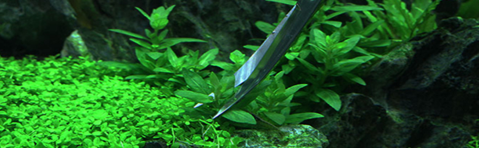 Aquarium Plant Scissors