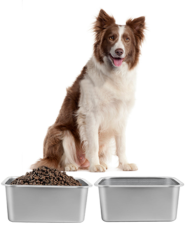 dog bowl