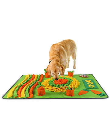 dog sniffing mat