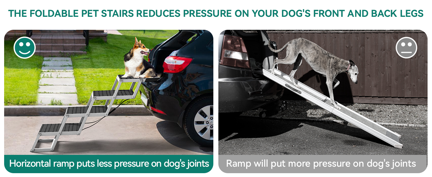 Dog Car Ramp