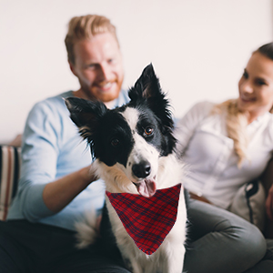 Washable Reversible Adjustable Triangle Dog Scarf Bow Ties