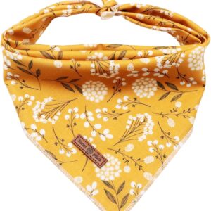 Lionet Paws Dog Bandana for Small Medium Large Dogs, Cat Dog Kerchief Dog Triangle Bibs Scarf for Girl Gift