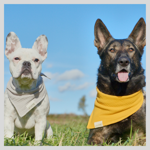 Dog bandana neckerchief dog dog bandana