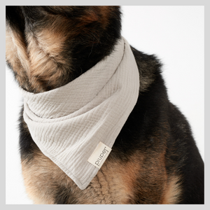 Dog neckerchief set double set dog neckerchiefs neckerchief large dog