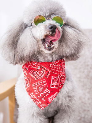 Soft Washable Dog Bandana For Small Puppies Cat