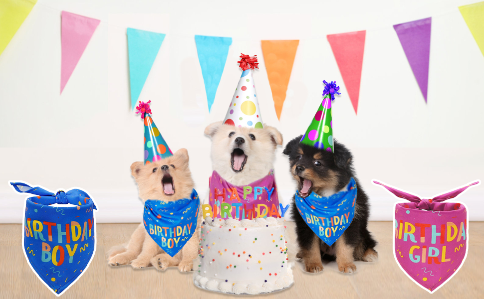 Dog Birthday Bandana