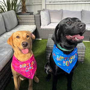 Dog Birthday Bandan