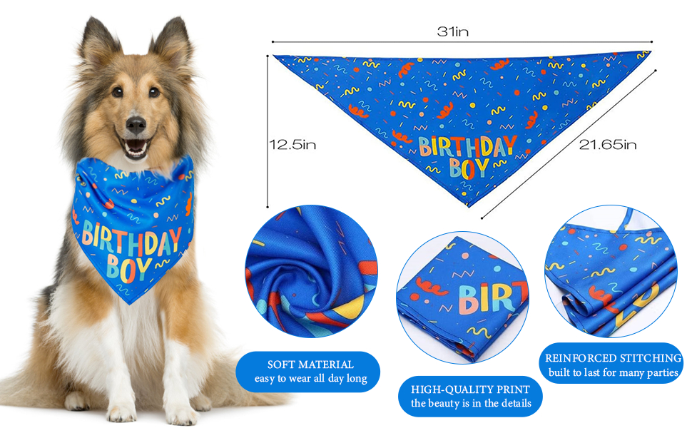 Birthday Dog Bandana Boy Triangle Scarf