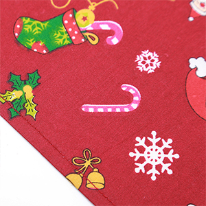 Christmas Santa Scarf