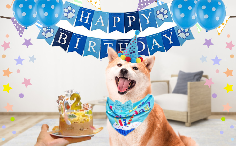 Cute Doggie Birthday Party Hat and Bow Tie