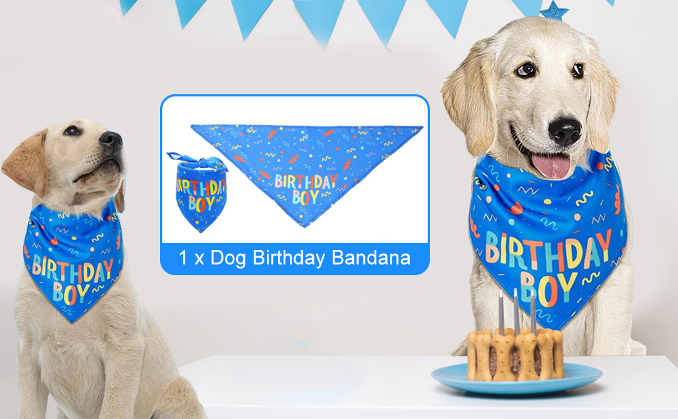 Dog Birthday Bandana