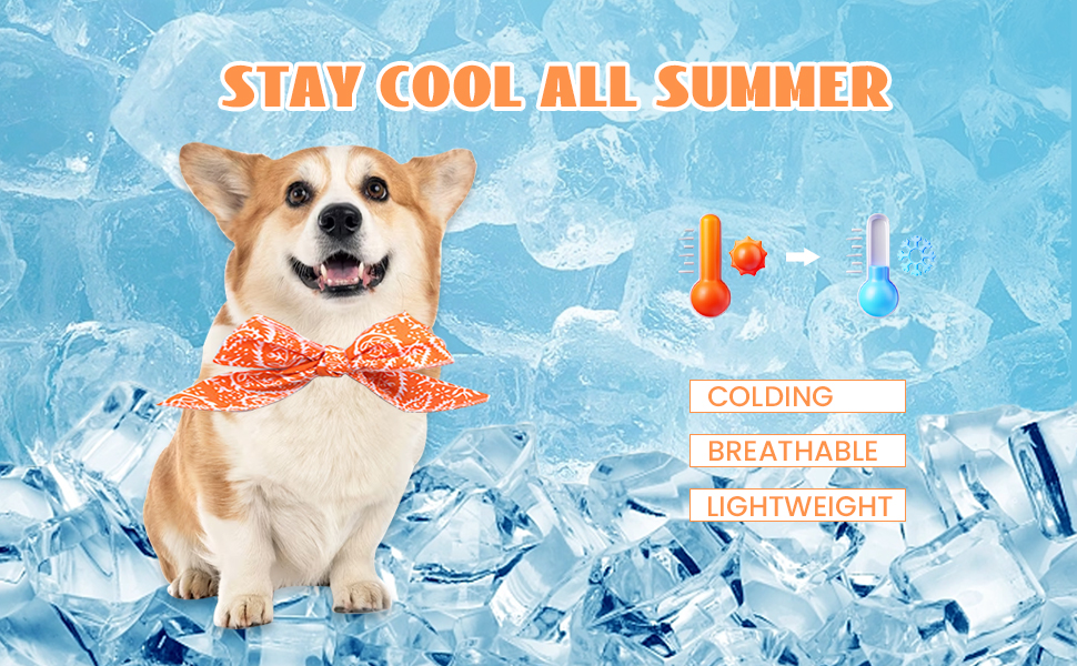 STAY COOL ALL SUMMER