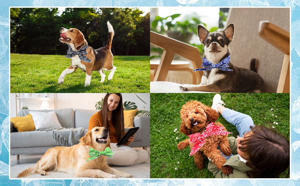 PETS LOVE TO WEAR OUR COOLING BANDANA