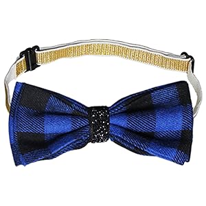 dog birthday bow tie collar