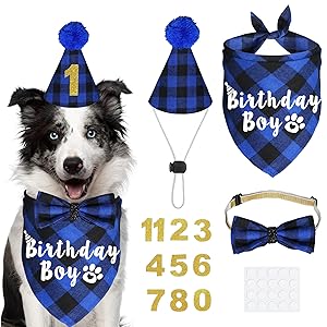 dog birthday bandana