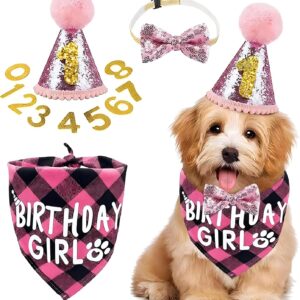 Dog Birthday Party Set, Dog Triangle Scarf, Birthday Hat, Dog Bow Tie, Gold Powder Digital Patch, Dog Girl Birthday Bandana for Small, Medium, Large Pets, Dog Birthday Party (Pink)