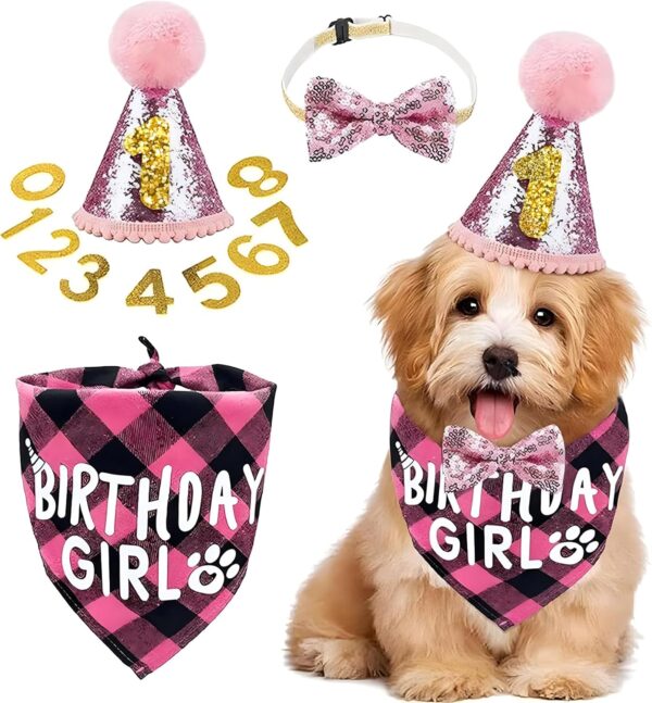 Dog Birthday Party Set, Dog Triangle Scarf, Birthday Hat, Dog Bow Tie, Gold Powder Digital Patch, Dog Girl Birthday Bandana for Small, Medium, Large Pets, Dog Birthday Party (Pink)