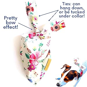 DogCatz Dog and Cat Bandana