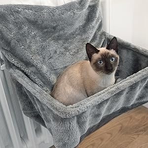 Cat radiator bed