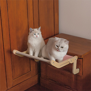 cat perch for drawer