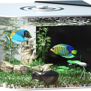 8.55-Gallon Acrylic Fish Tank with air Pump,Self Cleaning Aquarium with Light for Tabletop or Desktop Display,10.03×10.03×14.17inch