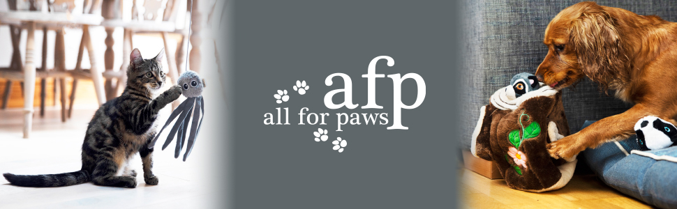 afp