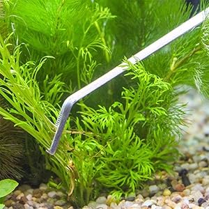 Aquarium Plant Scissors