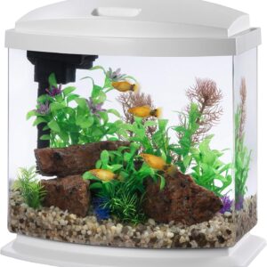 Aqueon LED MiniBow Aquarium Kit with SmartClean Technology, White, 2.5 Gallon