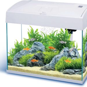 Basic 20 Gallon White Starter Fish Tank