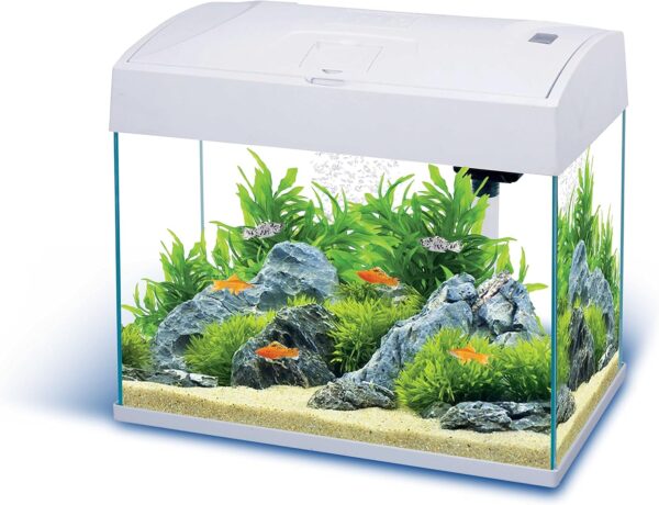 Basic 20 Gallon White Starter Fish Tank