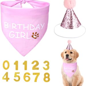 Benaewa Dog Birthday Bandana, Pets Dog Scarf Birthday Party Supplies Decorations with Cute Hat & Self-adhesive Number Stickers(Pink)