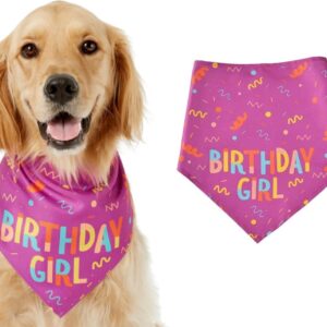 Birthday Girl Bandana Triangle Scarf Dog Pawdy Celebration Printed for Small Medium Dog Birthday Supplies (Pink)