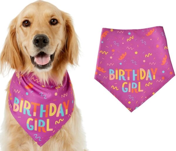 Birthday Girl Bandana Triangle Scarf Dog Pawdy Celebration Printed for Small Medium Dog Birthday Supplies (Pink)