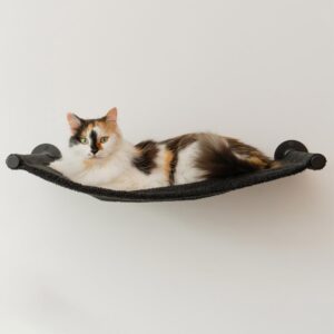 Cat Hammock, Cat Wall Shelf, Cat Bed, Wall Mounted Cat Furniture, Cat Hammock for Wall, Floating Cat Shelf, Support up to 33 lb, Black Hammock