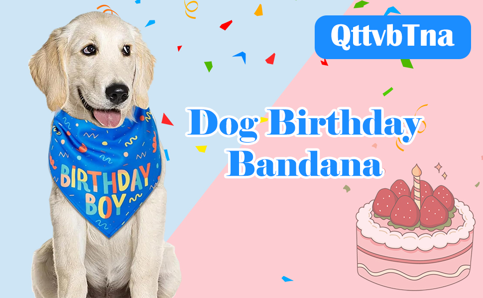 Birthday Boy Bandana Puppy Triangle Dog Scarf