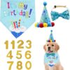 Dog Birthday Bandana, Dog Birthday Hat, Dog Birthday Decorations, Dog Party Hat, dog birthday bandana hat decorations Suitable for Cats and Dogs Pet Birthday Party Decoration (Blue)
