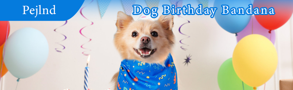 Dog Birthday Bandana