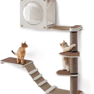 Feandrea Clickat Oasis - Cat Wall Furniture, Set of 5, Cat Wall Shelf, Wall-Mounted Cat Hammock, Scratching Post, Cave, Extremely Quick Assembly, Unlimited Expandability, Replaceable Module and Parts