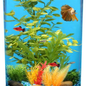 Koller Products 3-Gallon 360 Aquarium with LED Lighting (7 Color Choices) and Power Filter, Ideal for a Variety of Tropical Fish,Crystal-Clear Clarity,AP360A-3FFP